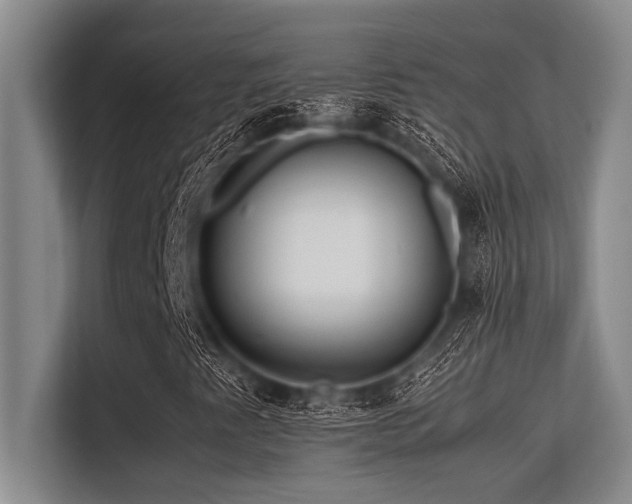 X0000113561345200909181211