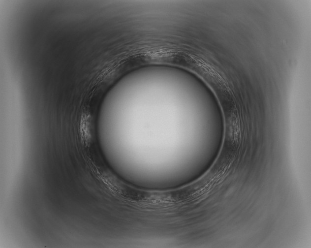 X0000113561346200909181211