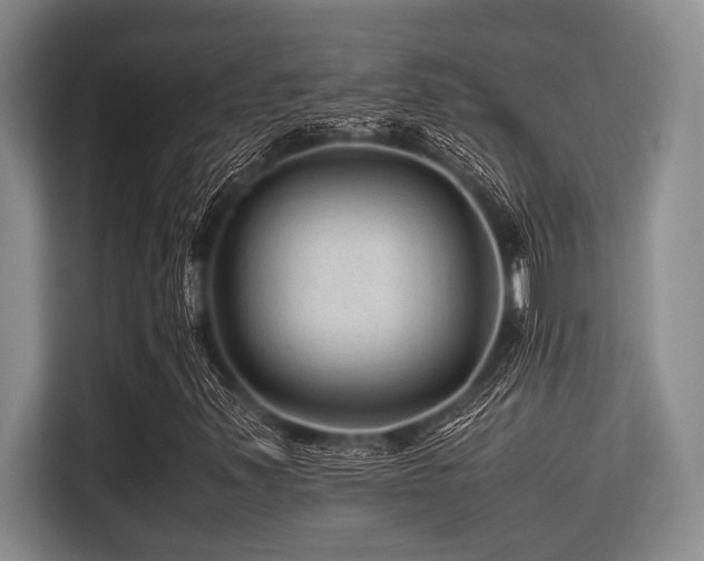 X0000113561347200909181211
