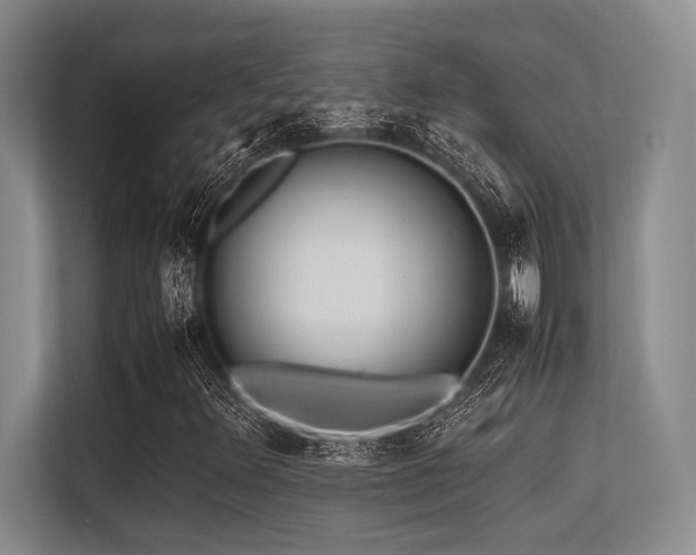 X0000113561348200909181211