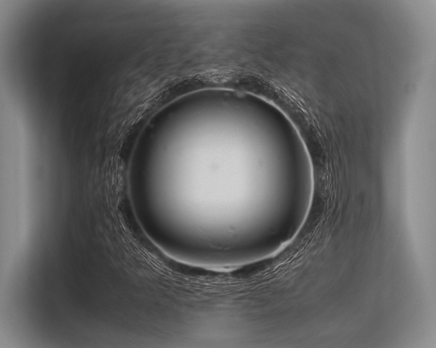 X0000113561349200909181211