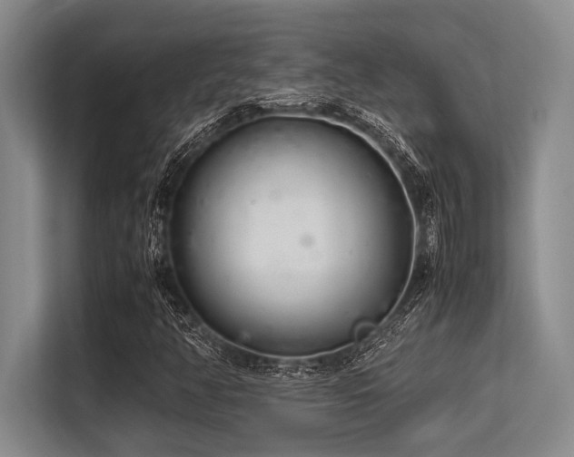 X0000113561350200909181211