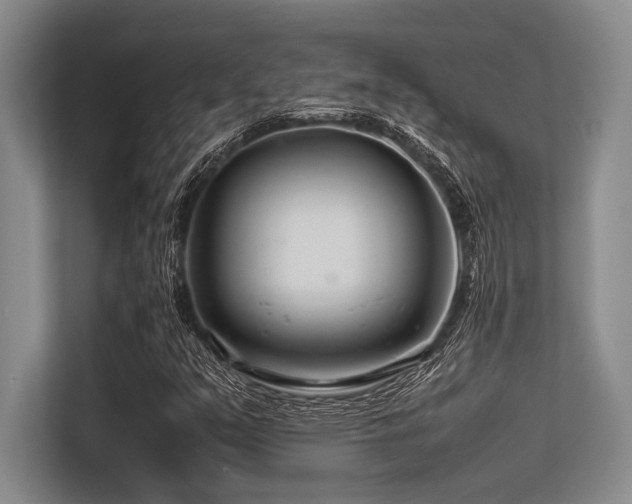 X0000113561351200909181211