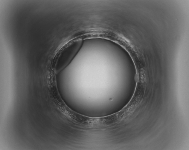 X0000113561352200909181211