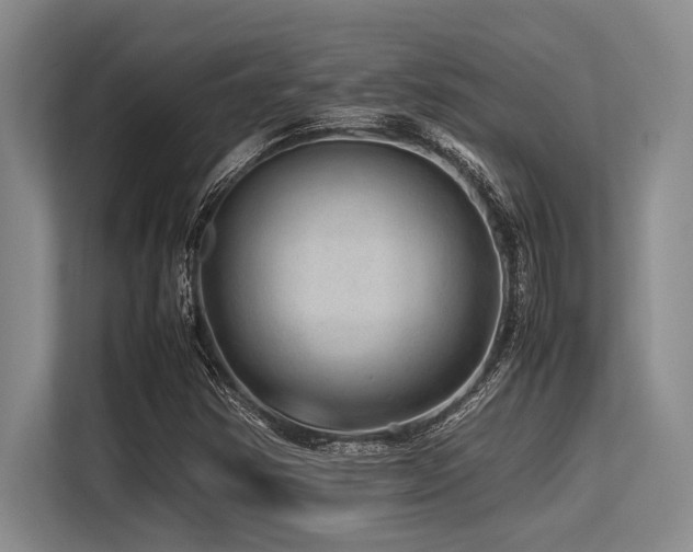 X0000113561354200909181211