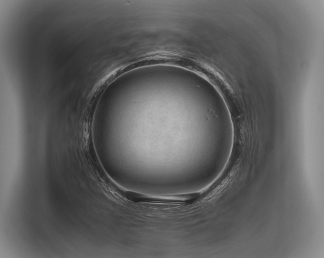 X0000113561355200909181211