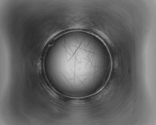 X0000113561356200909181211