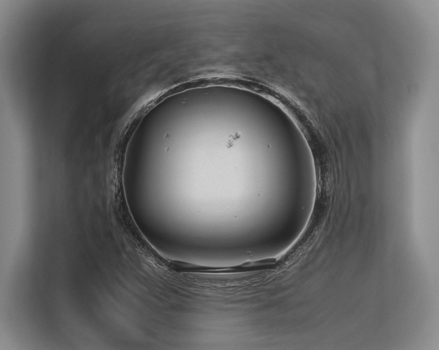 X0000113561359200909181211