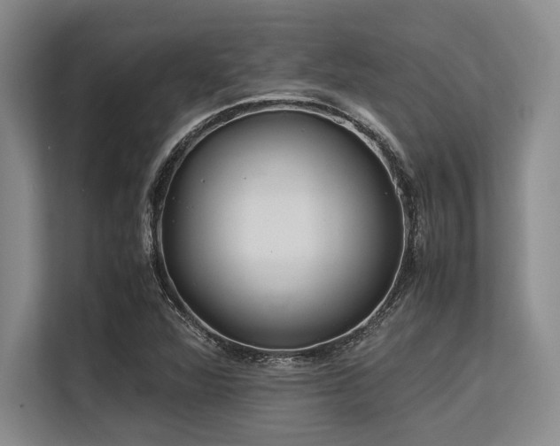 X0000113561360200909181211