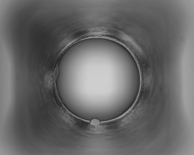 X0000113561361200909181211