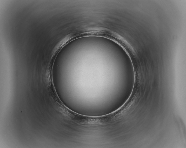 X0000113561362200909181211