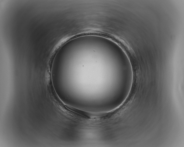 X0000113561363200909181211