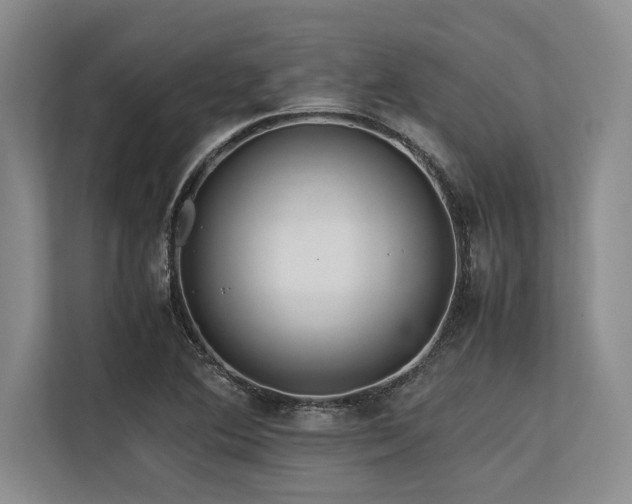 X0000113561364200909181211