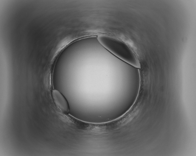 X0000113561365200909181211