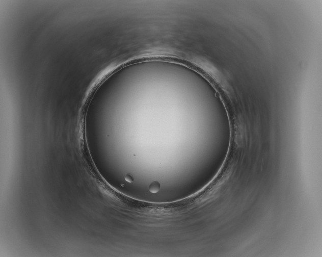 X0000113561366200909181211