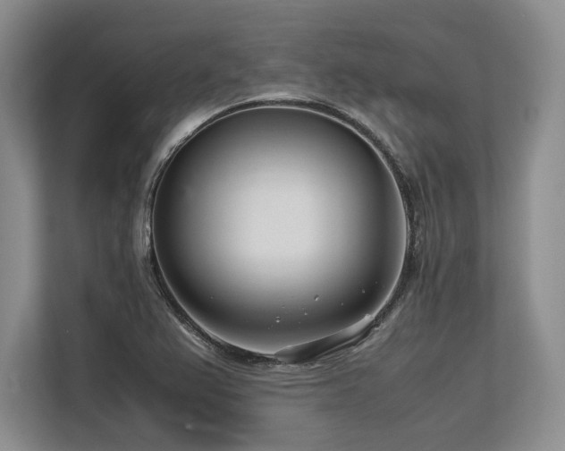 X0000113561367200909181211