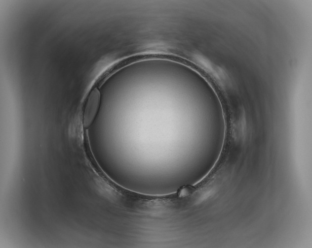 X0000113561368200909181211