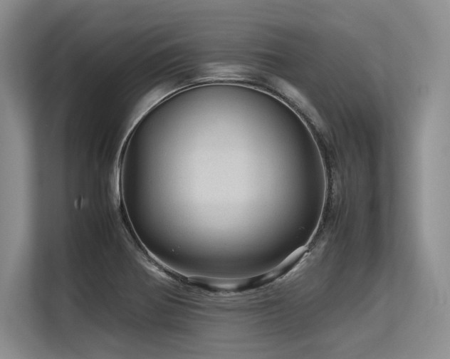 X0000113561370200909181211