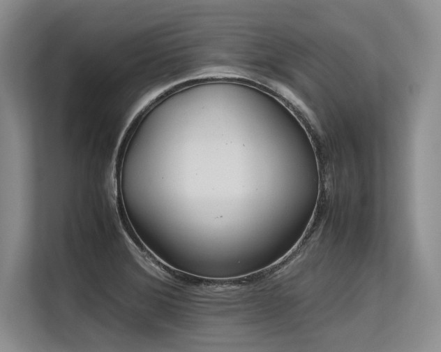 X0000113561372200909181211