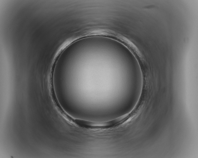 X0000113561373200909181211