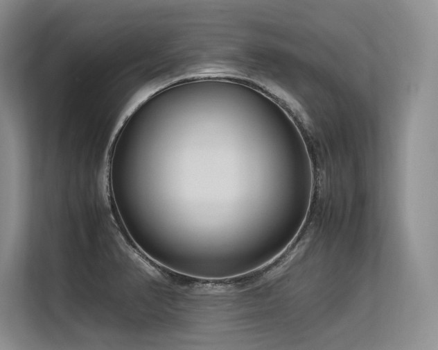 X0000113561374200909181211