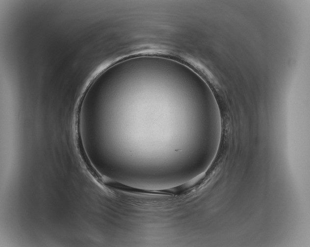 X0000113561375200909181211