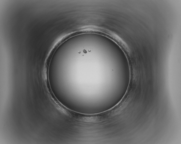 X0000113561376200909181211