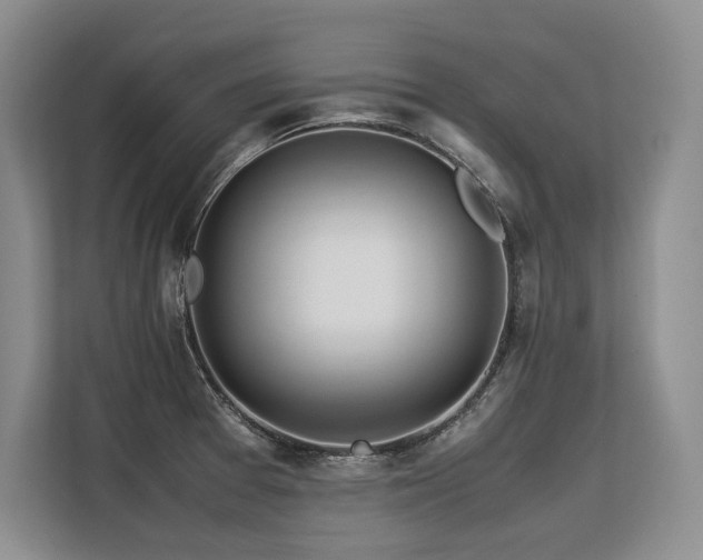 X0000113561377200909181211