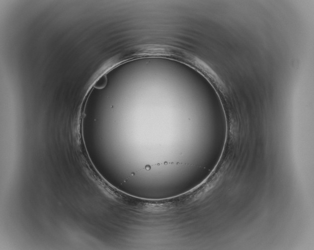 X0000113561378200909181211