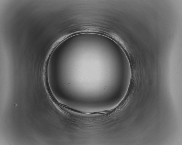 X0000113561379200909181211