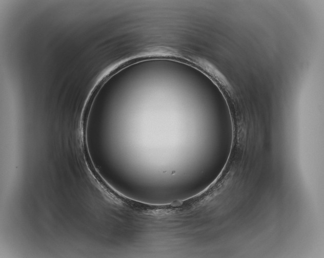 X0000113561380200909181211