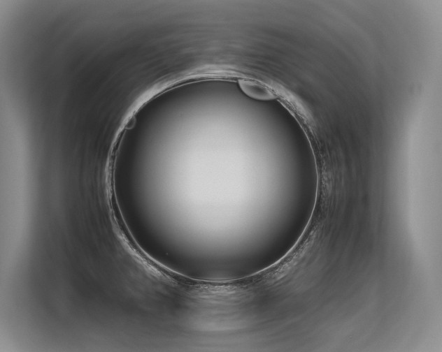 X0000113561382200909181211