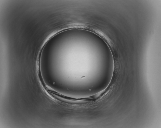 X0000113561383200909181211