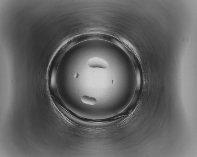 X0000113561384200909181211