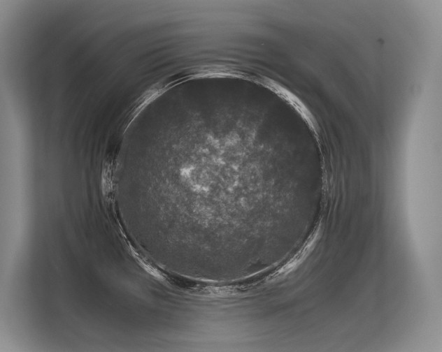 X0000113561385200909181211