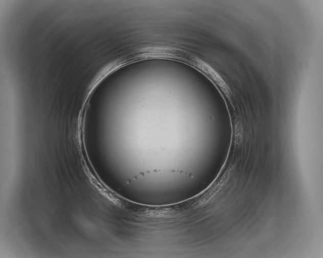 X0000113561386200909181211