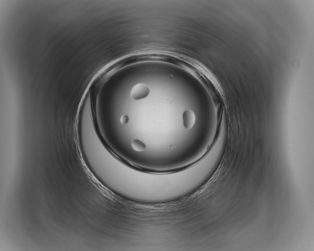 X0000113561388200909181211