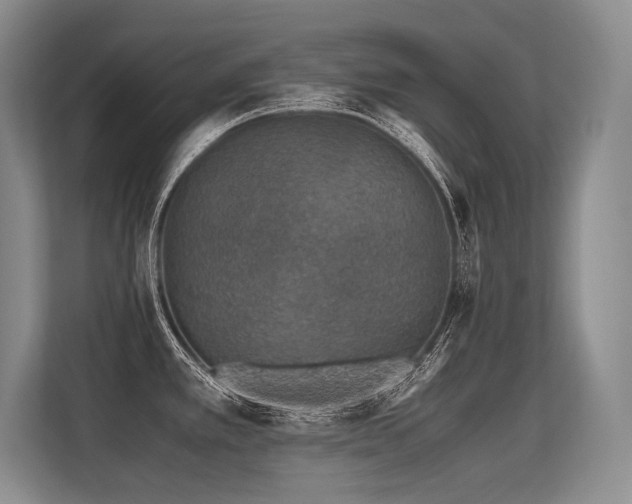 X0000113561389200909181211