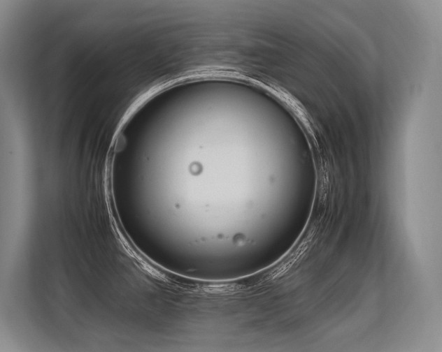 X0000113561390200909181211