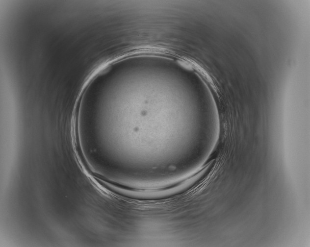 X0000113561391200909181211