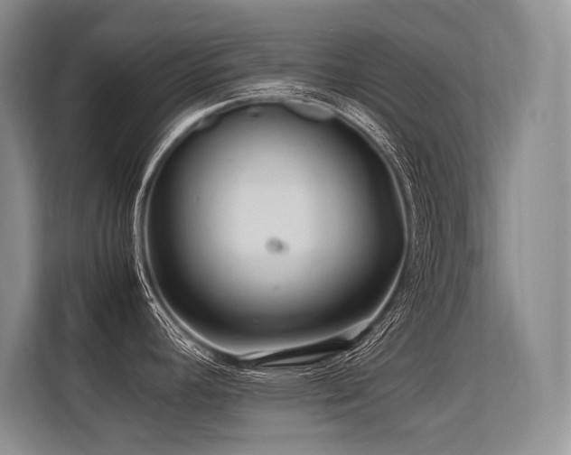 X0000113561392200909181211