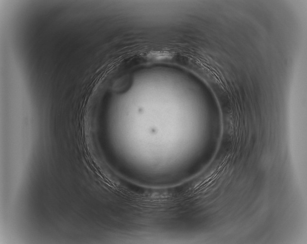 X0000113561393200909181210