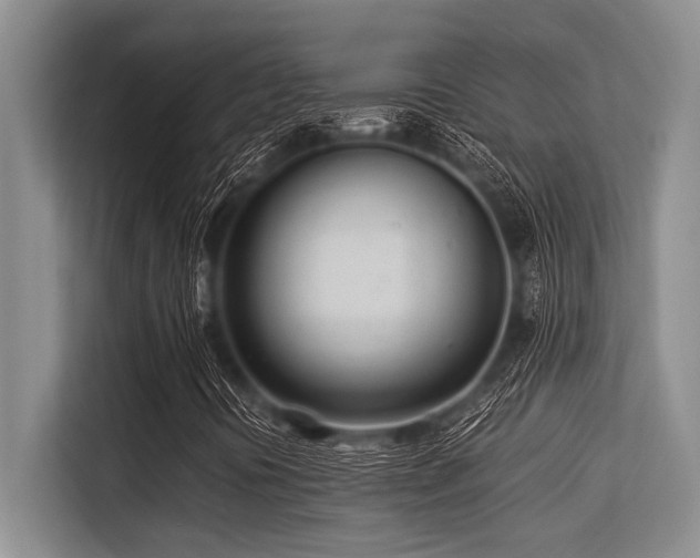 X0000113561394200909181210