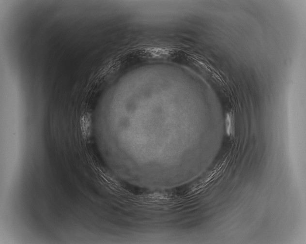 X0000113561395200909181210