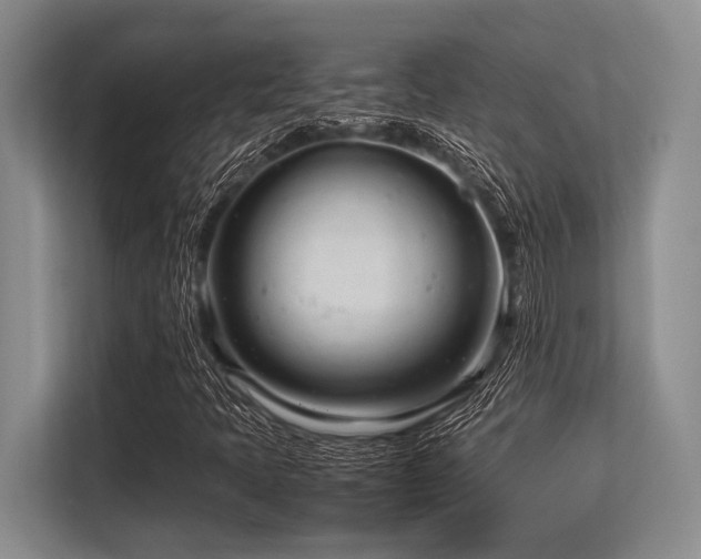 X0000113561397200909181210