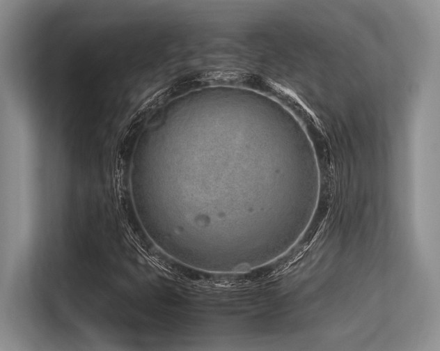 X0000113561399200909181210
