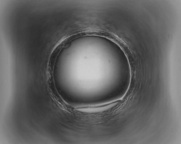 X0000113561400200909181210