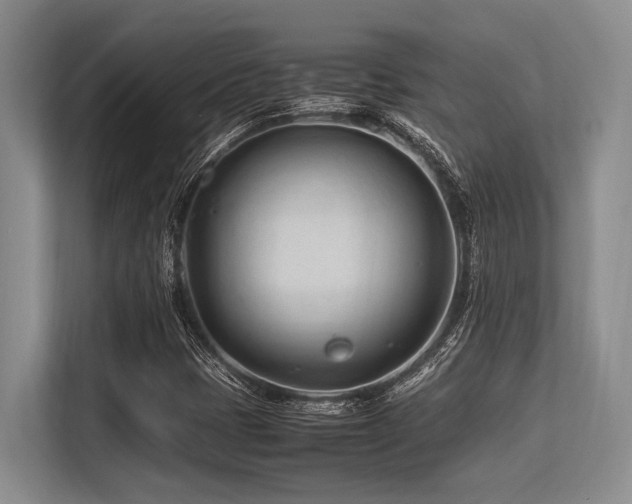 X0000113561401200909181210