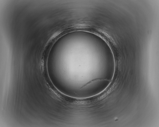X0000113561402200909181210