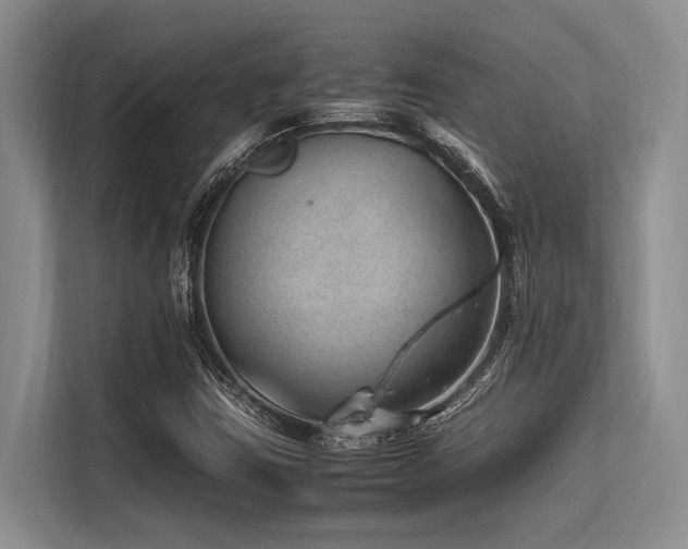 X0000113561403200909181210